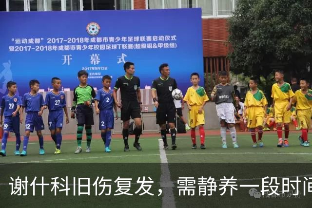 谢什科旧伤复发，需静养一段时间并进行进一步检查